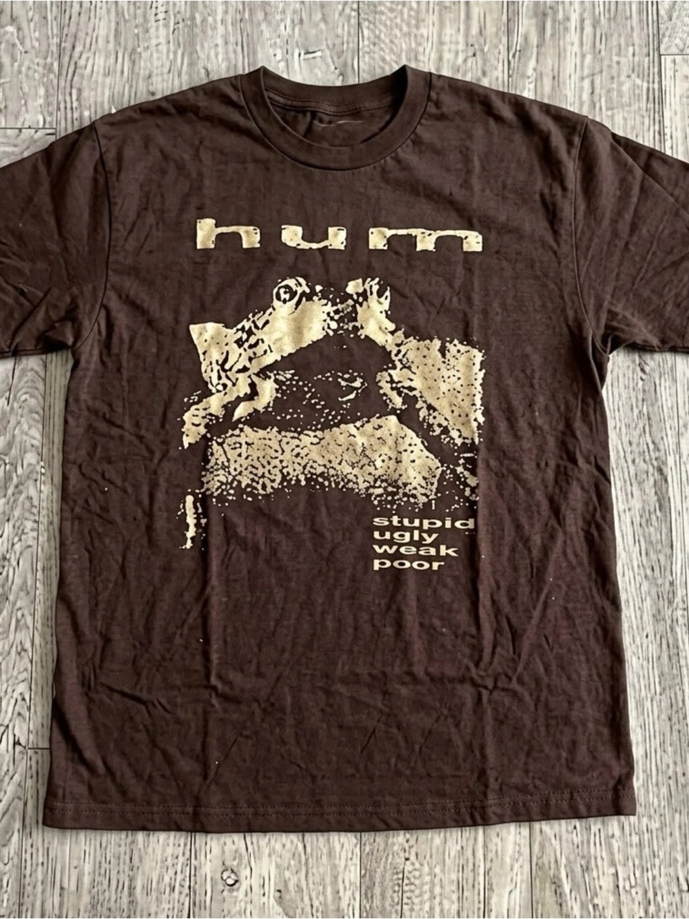 Gildan Brown Long Sleeve Graphic Tee with Beige Frog Print